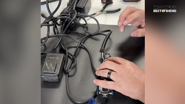 Amazon.com: Groomers Best Friend - Replacement Cords for Andis
